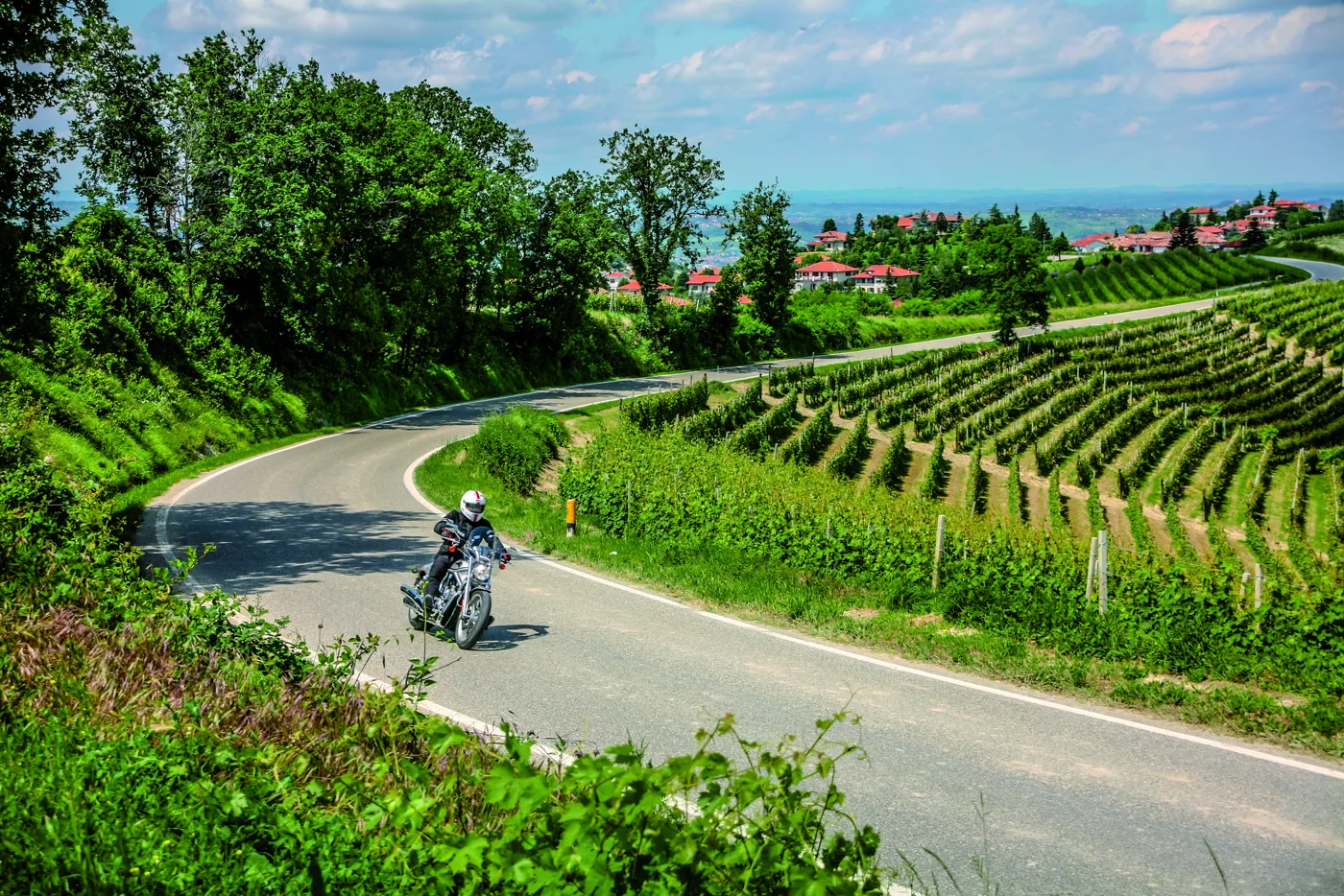 Straße durch die Weinberge der Langhe