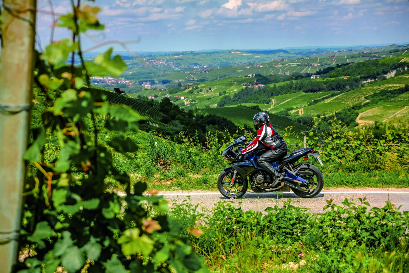 Weinberghügel der Langhe